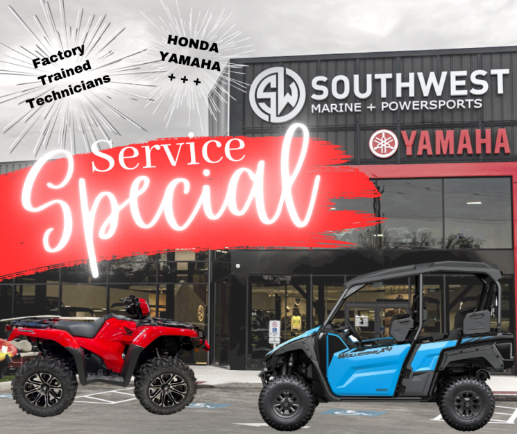 SERVICE PROMOTION